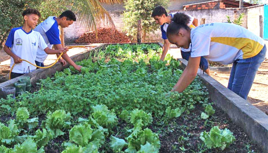 Projeto de meio ambiente em escola pública do ensino fundamental, criação  de horta e etc.., Exercícios Ciências Biologicas