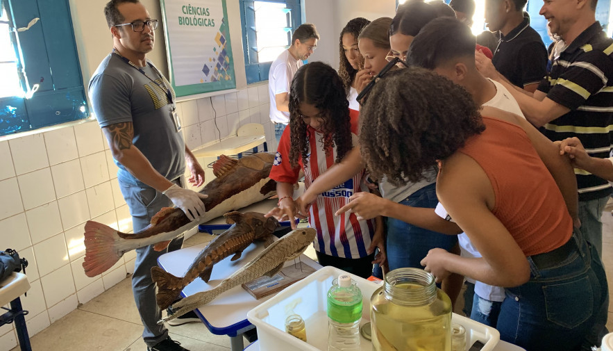 Estudantes do Colégio Doutor Pedro Ludovico Teixeira participam de